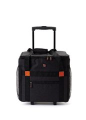 מזוודות וטרולי