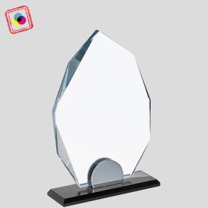 מגן הוקרה סובלימציה